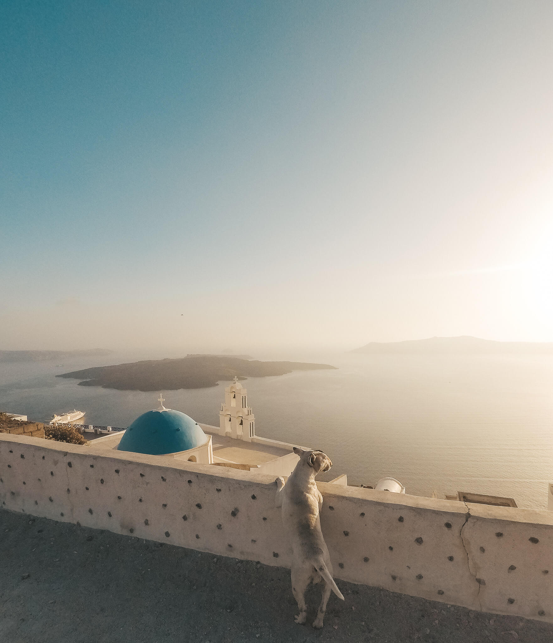 Santorin-Greek-Dog-Fira-Sunset-Reiseblog-vonPlamenundBergen